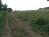 Bielsko-Biaa - 2,5 Ha